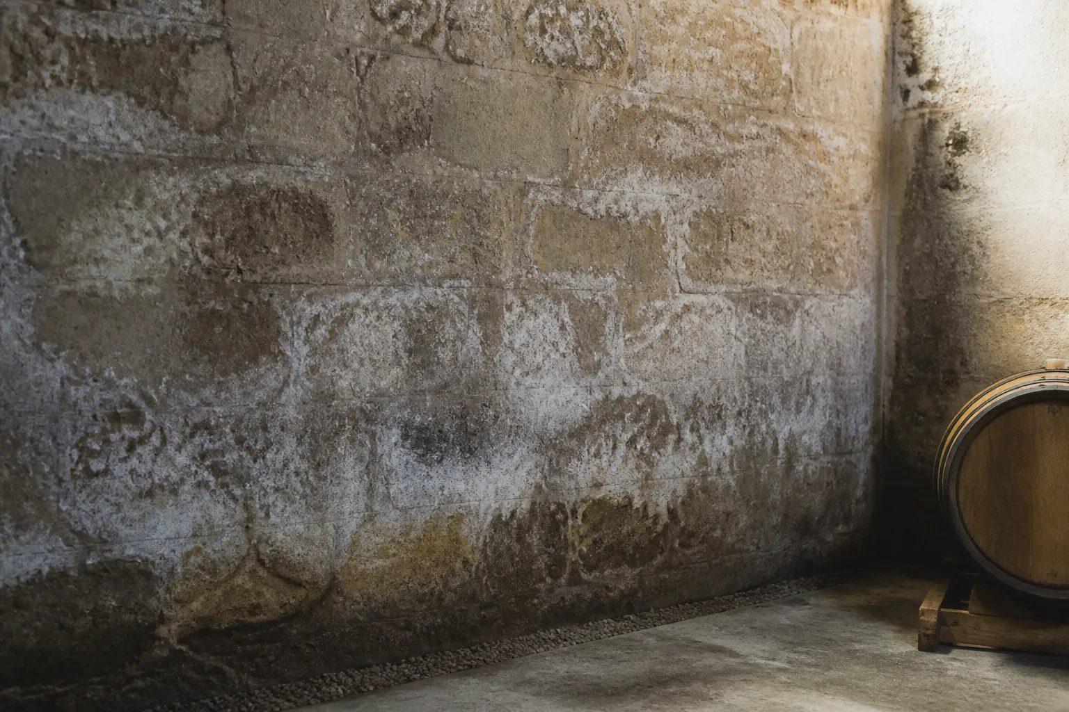 Traces d humidite et de salpetre sur les murs d une cave, en Gironde.